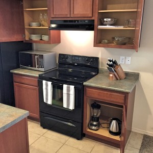 Electric range and other bonus appliances included. - Las Alturas 1 - Alamogordo, NM house near Holloman AFB